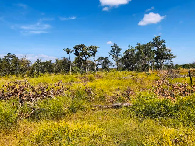 Không loại trừ việc phá rừng để lấn chiếm đất. Ảnh: TRẦN HIẾU Không loại trừ việc phá rừng để lấn chiếm đất. Ảnh: TRẦN HIẾU