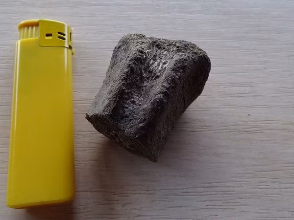 Một đốt sống hóa thạch được phát hiện trong chuyến thám hiểm "Trun 2023." (Nguồn: BTA)