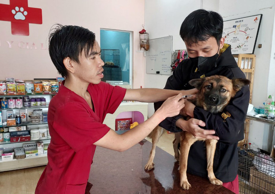 Người dân đưa chó đi tiêm vắc xin phòng bệnh dại. Ảnh: N.D Người dân đưa chó đi tiêm vắc xin phòng bệnh dại. Ảnh: N.D