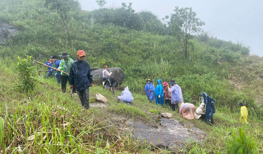 Thanh niên ra sức trồng rừng bất kể thời tiết. Ảnh: TT