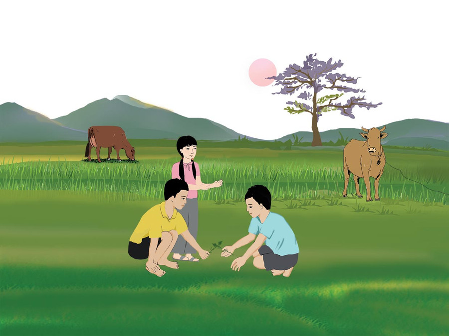 Minh họa: HUYỀN TRANG Minh họa: HUYỀN TRANG