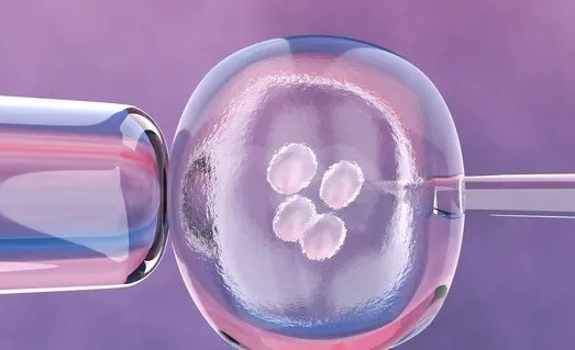 Phần mềm AI sẽ giúp tăng khả năng thụ thai thành công. (Nguồn: iStock)