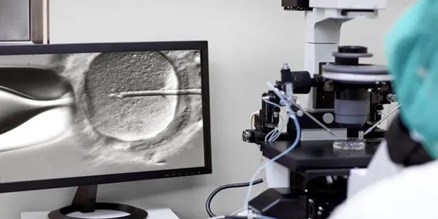 Trí tuệ nhân tạo có thể hỗ trợ các bác sỹ trong chọn lọc phôi thai. (Nguồn: iStock)