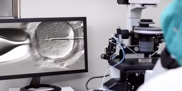 Trí tuệ nhân tạo có thể hỗ trợ các bác sỹ trong chọn lọc phôi thai. (Nguồn: iStock)