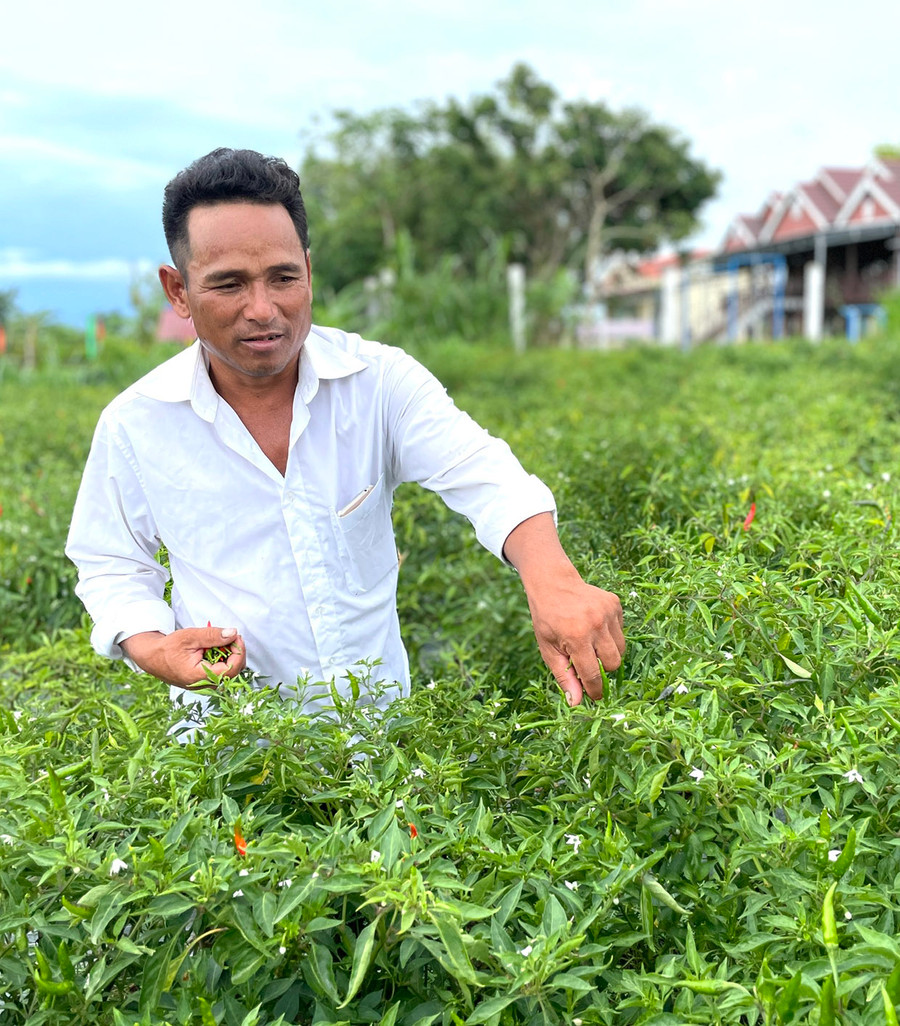 Ông Đinh Văn Hyướch (làng Jun, xã Yang Bắc) có thu nhập khá nhờ trồng thêm rau màu trong vườn. Ảnh: L.N Ông Đinh Văn Hyướch (làng Jun, xã Yang Bắc) có thu nhập khá nhờ trồng thêm rau màu trong vườn. Ảnh: L.N