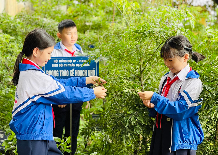 Hoạt động chăm sóc cây xanh giúp học sinh nâng cao kỹ năng sống. Ảnh: Mai Ka Hoạt động chăm sóc cây xanh giúp học sinh nâng cao kỹ năng sống. Ảnh: Mai Ka