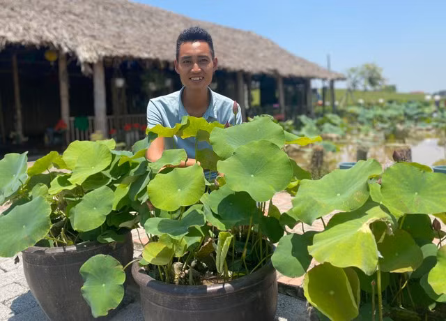 Anh Toàn bên những chậu sen của mình. Ảnh: NVCC