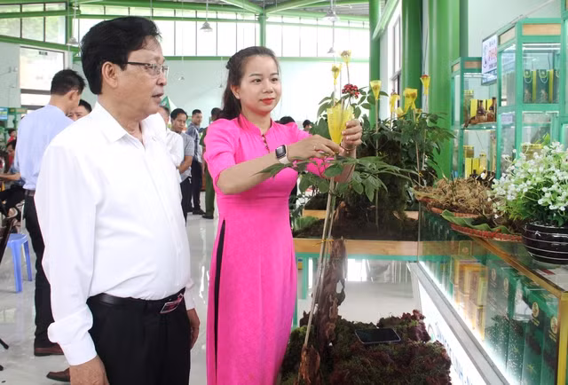 Sâm Ngọc Linh đưa vào phiên chợ bày bán phải được thẩm định