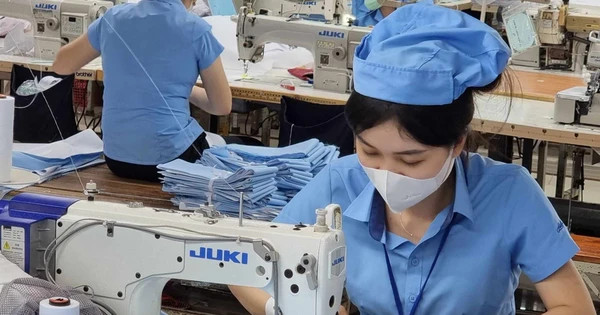 Động lực từ lương mới ảnh 1 Động lực từ lương mới ảnh 1