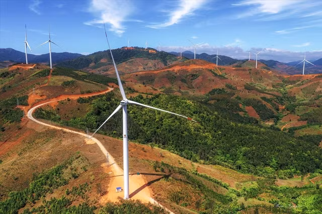 Sở Kế hoạch và Đầu tư đề nghị thanh tra toàn diện Dự án Điện gió Tân Tấn Nhật - Đăk Glei - Ảnh: Phạm Nguyên