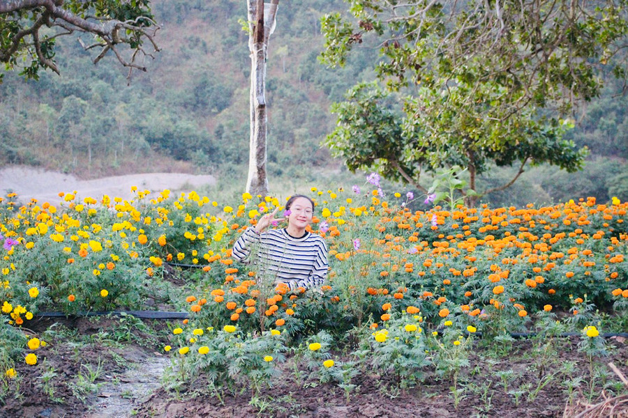 Du khách thưởng ngoạn phong cảnh tại Khu du lịch Đồi hướng dương. Ảnh: Võ Thanh Thảo Du khách thưởng ngoạn phong cảnh tại Khu du lịch Đồi hướng dương. Ảnh: Võ Thanh Thảo