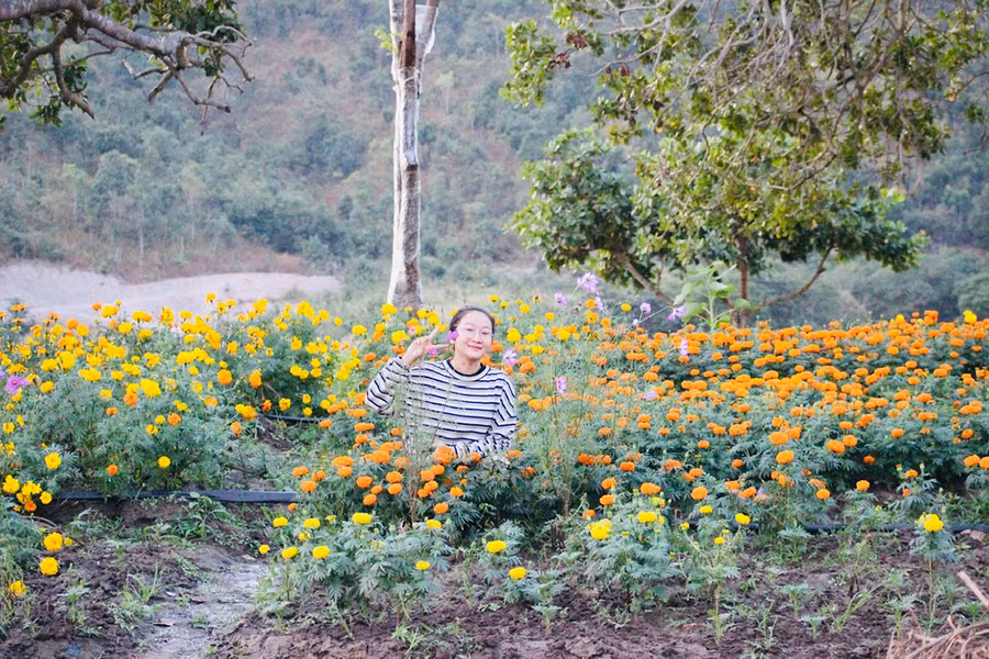 Du khách thưởng ngoạn phong cảnh tại Khu du lịch Đồi hướng dương. Ảnh: Võ Thanh Thảo