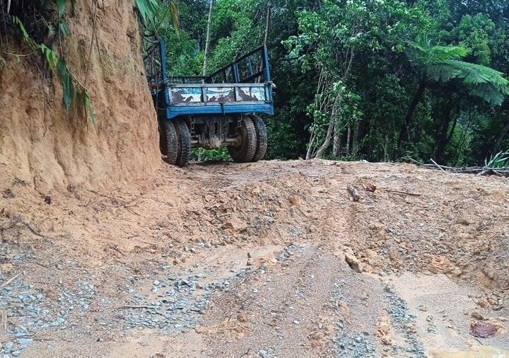 UBND tỉnh Quảng Nam chỉ đạo điều tra, xử lý vụ phá rừng thi công đường dây tải điện thủy điện Tr’Hy. (Ảnh: C.T)