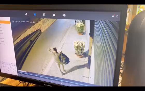 Hình ảnh Nu đột nhập vào tiệm vàng