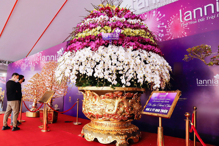 Chủ nhân của chậu hoa mất khoảng 3 tháng để hoàn thành tính từ lúc lên ý tưởng. Ảnh: ĐÌNH HUY Chủ nhân của chậu hoa mất khoảng 3 tháng để hoàn thành tính từ lúc lên ý tưởng. Ảnh: ĐÌNH HUY