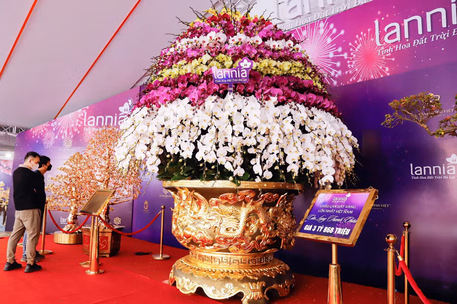 Chủ nhân của chậu hoa mất khoảng 3 tháng để hoàn thành tính từ lúc lên ý tưởng. Ảnh: ĐÌNH HUY