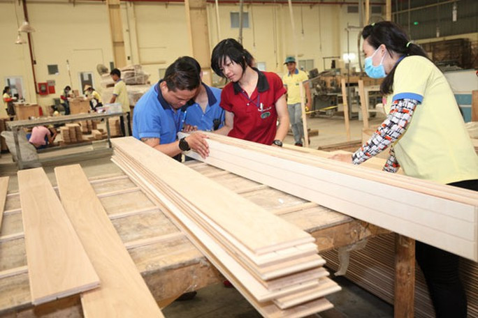 Nhà máy chế biến gỗ xuất khẩu đã có đơn hàng.