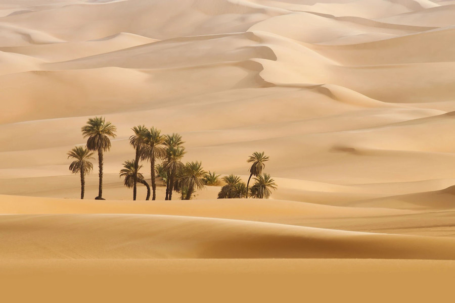 Ả Rập Saudi là đất nước không có sông Ả Rập Saudi là đất nước không có sông