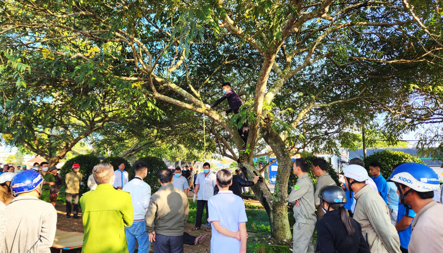 Cơ quan điều tra khám nghiệm hiện trường phục vụ công tác điều tra, làm rõ nguyên nhân tử vong của nạn nhân Cơ quan điều tra khám nghiệm hiện trường phục vụ công tác điều tra, làm rõ nguyên nhân tử vong của nạn nhân