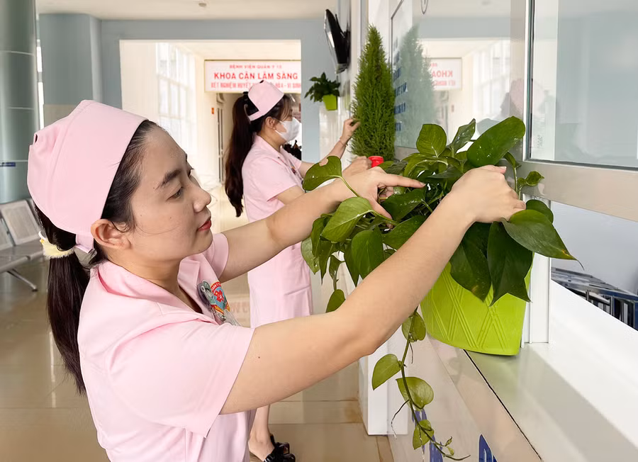 Điều dưỡng viên Bệnh viện Quân y 15 chăm sóc cây xanh tại khu khám, điều trị bệnh. Ảnh: Đ.Y