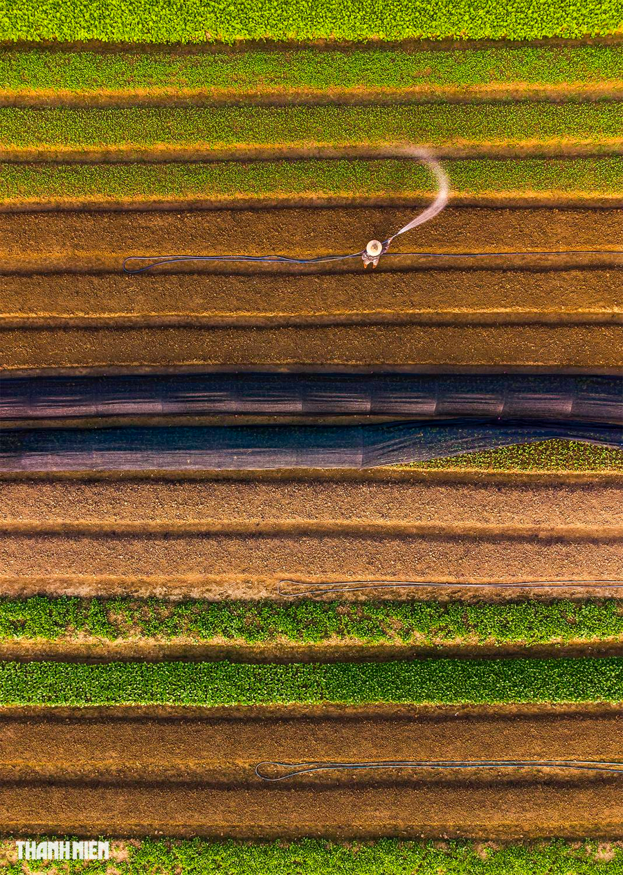 Khung cảnh bình dị Tưới rau ven TP.Lạng Sơn của tác giả Chu Văn Minh đã gây sự chú ý của các giám khảo quốc tế khi vào top 100 tác phẩm chụp từ trên cao đẹp nhất. Ảnh: CHU VĂN MINH Khung cảnh bình dị Tưới rau ven TP.Lạng Sơn của tác giả Chu Văn Minh đã gây sự chú ý của các giám khảo quốc tế khi vào top 100 tác phẩm chụp từ trên cao đẹp nhất. Ảnh: CHU VĂN MINH