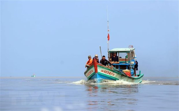 Tăng cường các biện pháp chống khai thác hải sản bất hợp pháp. (Ảnh: Huỳnh Anh/TTXVN) Tăng cường các biện pháp chống khai thác hải sản bất hợp pháp. (Ảnh: Huỳnh Anh/TTXVN)