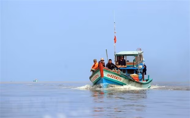 Tăng cường các biện pháp chống khai thác hải sản bất hợp pháp. (Ảnh: Huỳnh Anh/TTXVN)