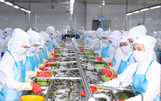 Xem xét kiến nghị tiếp tục cho doanh nghiệp vay từ ngân hàng chính sách xã hội để trả lương ngừng việc cho người lao động. Ảnh nguồn TNO