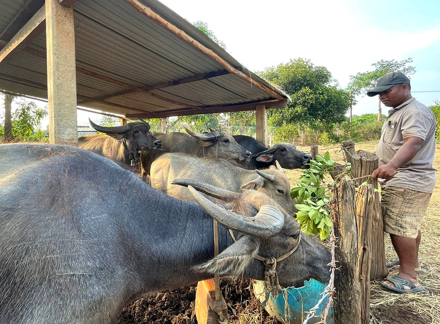 Nhờ nỗ lực lao động, gia đình anh Rơ Châm Buk (làng Jut, xã Ia Phí) đã có cuộc sống khấm khá. Ảnh: Minh Nguyễn