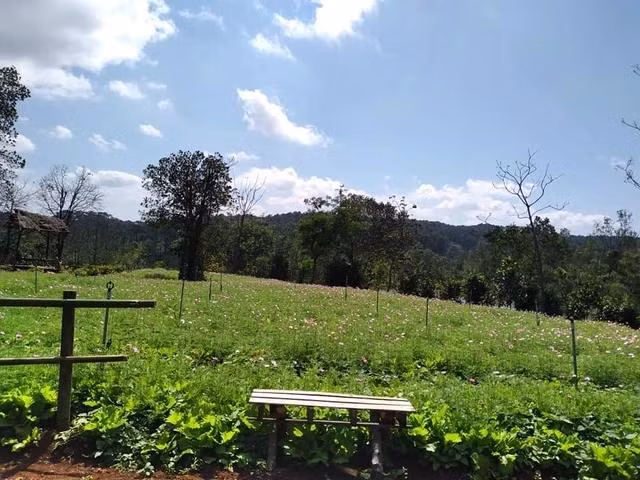 Ảnh FB Dinhthao1988