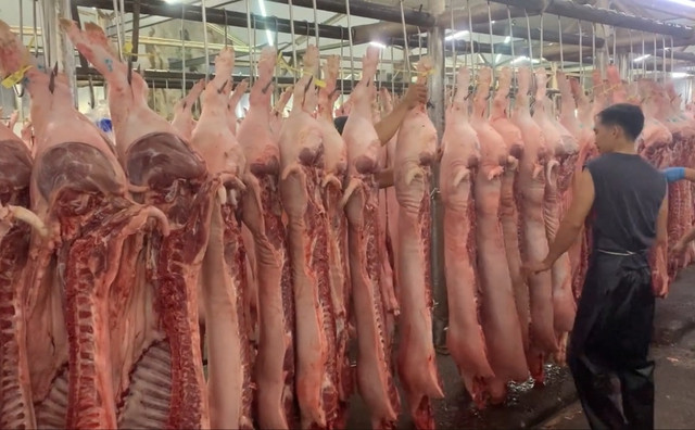Nguồn cung trên thị trường đang bị ảnh hưởng bởi dịch tả heo châu Phi