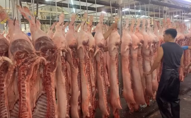 Nguồn cung trên thị trường đang bị ảnh hưởng bởi dịch tả heo châu Phi