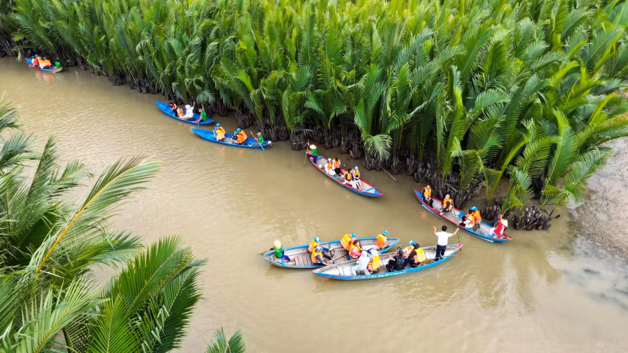 Rừng dừa nước Tịnh Khê gắn liền với lịch sử. Ảnh: HẢI PHONG