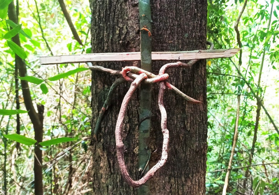 Cách người Cơ Tu làm dấu khẳng định... “chủ quyền”. Ảnh: ĐĂNG NGUYÊN