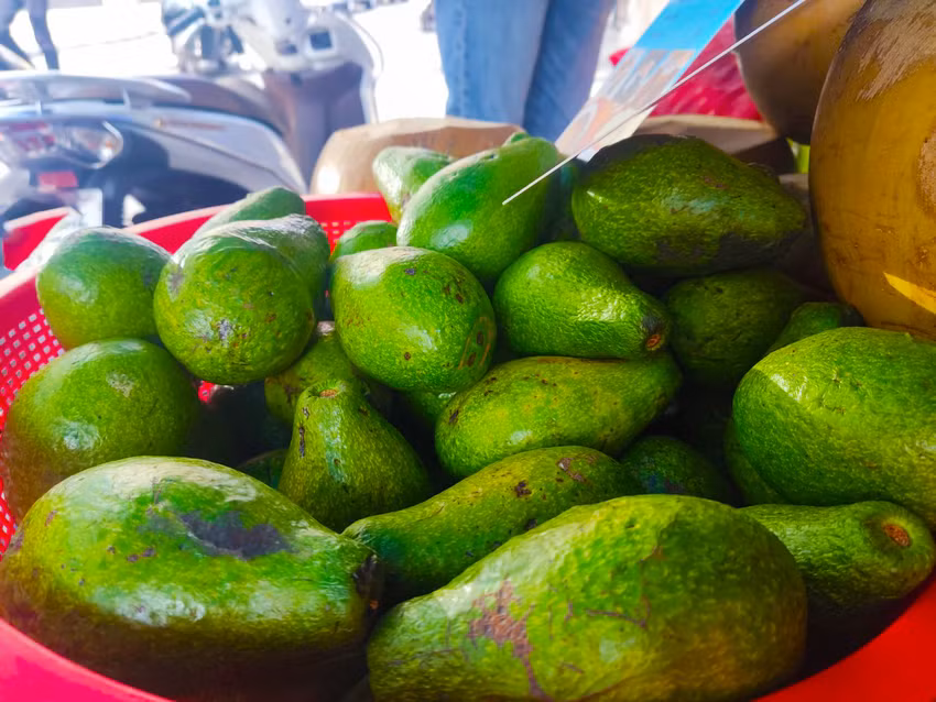 Quả bơ tốt cho sức khỏe tim mạch. Ảnh: NHẬT LINH