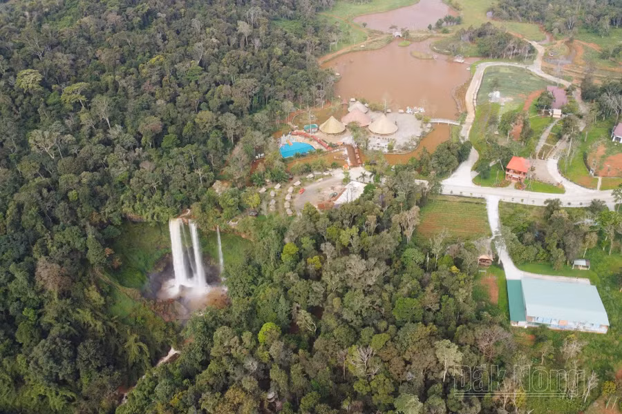 Công ty Cổ phần Đầu tư xây dựng Phúc Lâm Thành là doanh nghiệp đầu tiên hoàn thiện hồ sơ thuê rừng tại các dự án nông, lâm nghiệp ở Đắk Nông