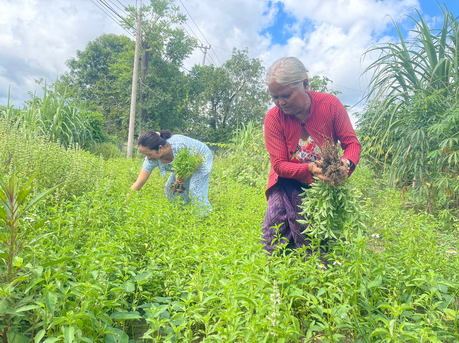 Người dân buôn Rưng Ma Nin cải tạo vườn tạp trồng rau xanh phục vụ bữa ăn hàng ngày. Ảnh: V.C