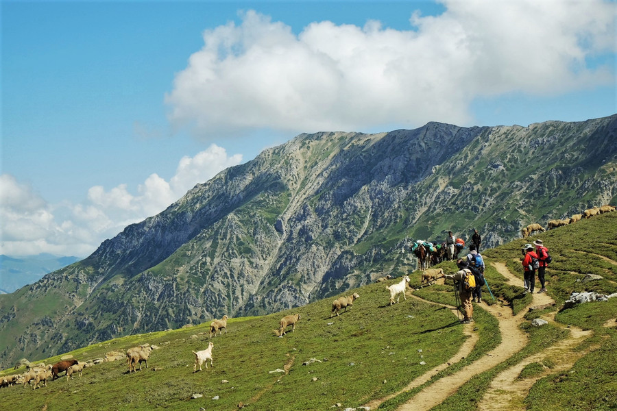 Khách Việt muốn đi sẽ thường mua vé bay Việt Nam - Delhi, Delhi - Srinagar, chuẩn bị visa và đặt landtour giá 16.000 - 17.000 rupee mỗi người (4,8 - 5,1 triệu đồng) để trải nghiệm cung đường này. KGL là cung trekking kéo dài 7 ngày 6 đêm ở khu vực không điện không sóng; landtour tại đây sẽ bao gồm bếp ăn chuẩn bị 3 bữa chủ yếu đồ ăn chay, lều trại, túi ngủ, hướng dẫn viên địa phương, xe đưa đón tới điểm xuất phát trek, và các loại giấy phép cho du khách.