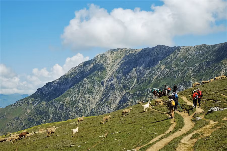 Khách Việt muốn đi sẽ thường mua vé bay Việt Nam - Delhi, Delhi - Srinagar, chuẩn bị visa và đặt landtour giá 16.000 - 17.000 rupee mỗi người (4,8 - 5,1 triệu đồng) để trải nghiệm cung đường này. KGL là cung trekking kéo dài 7 ngày 6 đêm ở khu vực không điện không sóng; landtour tại đây sẽ bao gồm bếp ăn chuẩn bị 3 bữa chủ yếu đồ ăn chay, lều trại, túi ngủ, hướng dẫn viên địa phương, xe đưa đón tới điểm xuất phát trek, và các loại giấy phép cho du khách.