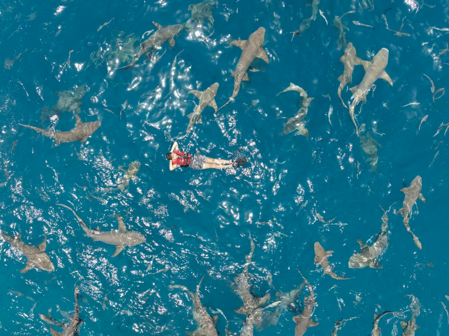 Chàng trai 27 tuổi hòa mình vào thiên nhiên tại Maldives.