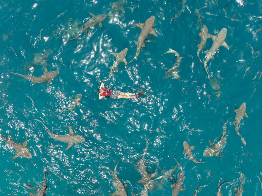 Chàng trai 27 tuổi hòa mình vào thiên nhiên tại Maldives.