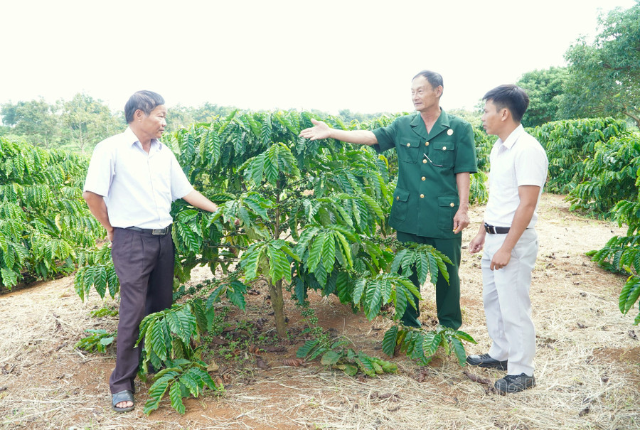 Người dân xã Thuận An, huyện Đắk Mil, Đắk Nông luôn nỗ lực vươn lên trong phát triển kinh tế, làm giàu cho gia đình, xã hội. Người dân xã Thuận An, huyện Đắk Mil, Đắk Nông luôn nỗ lực vươn lên trong phát triển kinh tế, làm giàu cho gia đình, xã hội.