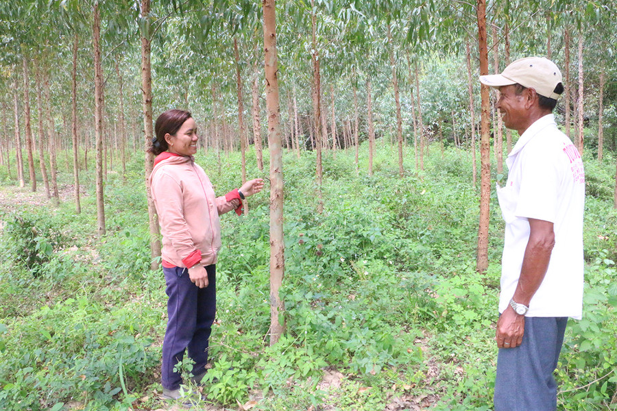 Người dân huyện Kông Chro sống khỏe nhờ trồng rừng. Ảnh: Tấn Sang