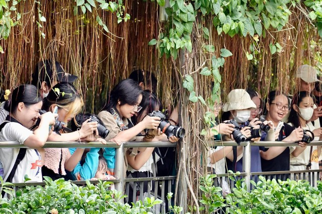 Các bạn sinh viên khoa Báo chí và Truyền thông tác nghiệp tại sự kiện. Ảnh: HÀ THƯƠNG