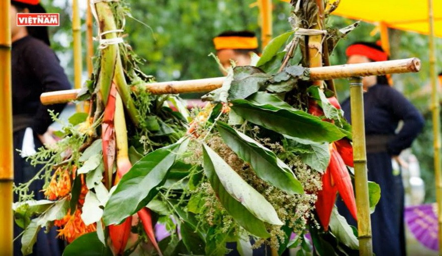 Hoa quả rừng thực hiện trong lễ cúng. (Nguồn: Báo Ảnh Việt Nam) Hoa quả rừng thực hiện trong lễ cúng. (Nguồn: Báo Ảnh Việt Nam)