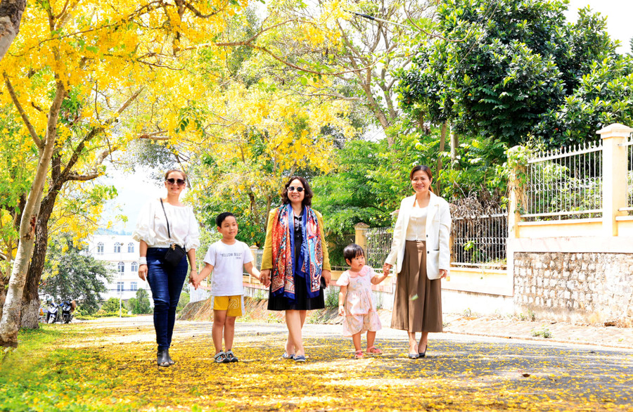 Tại Di Linh, muồng hoàng yến đang thu hút sự thích thú của người dân khi đồng loạt nở rộ, mang lại vẻ đẹp tươi mát, làm giảm cái nắng chói chang của mùa hè và thu hút sự chú ý của mọi người mỗi độ hè về bởi sắc vàng óng ả. Tại Di Linh, muồng hoàng yến đang thu hút sự thích thú của người dân khi đồng loạt nở rộ, mang lại vẻ đẹp tươi mát, làm giảm cái nắng chói chang của mùa hè và thu hút sự chú ý của mọi người mỗi độ hè về bởi sắc vàng óng ả.