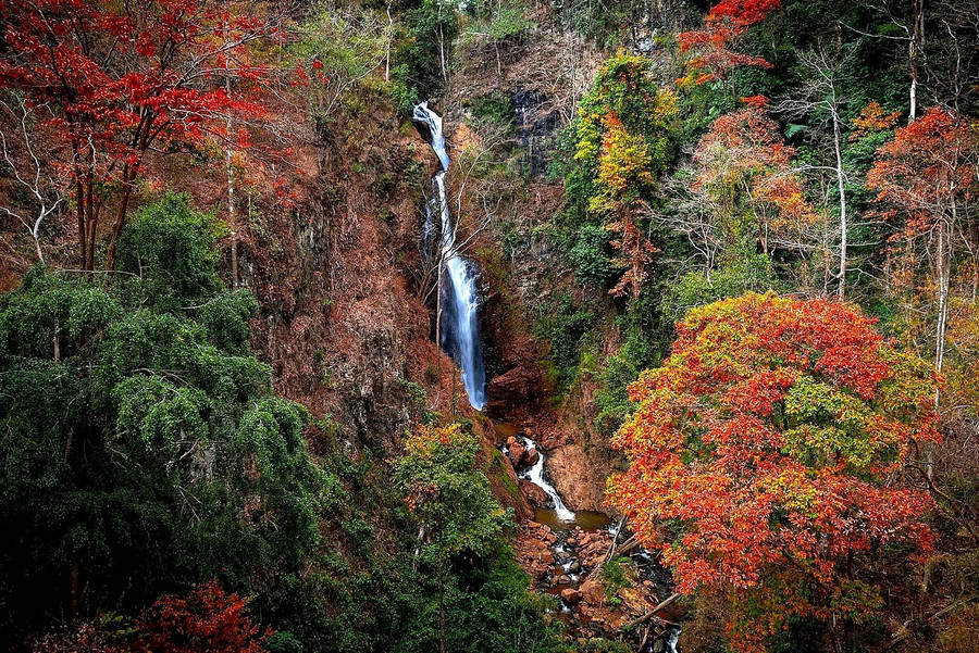 Cây cối, cảnh vật ở Kon Plông khiến ai cũng phải mê mẩn. Ảnh: Lê Nguyên Phúc