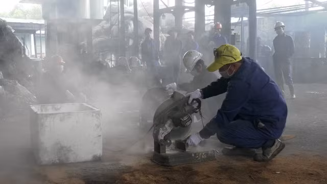 Phải mất 2 ngày mới có thể tiêu hủy hết số động vật hoang dã là vật chứng của vụ án. Ảnh: ENV cung cấp