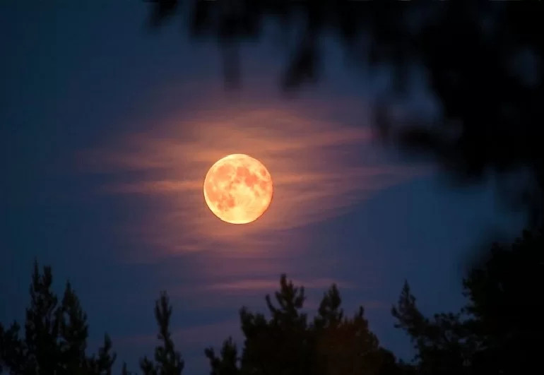 Ảnh minh họa (nguồn: Internet) Ảnh minh họa (nguồn: Internet)