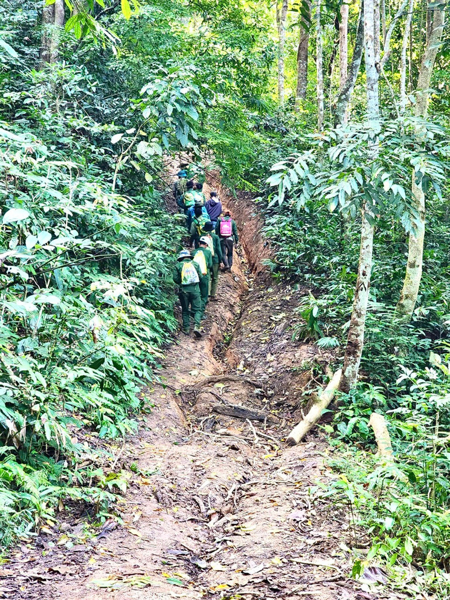 Những người đã thạo việc đi rừng thì mỗi ngày cũng có thu nhập từ 400 đến 600 ngàn đồng. Ảnh: Minh Nguyễn Những người đã thạo việc đi rừng thì mỗi ngày cũng có thu nhập từ 400 đến 600 ngàn đồng. Ảnh: Minh Nguyễn